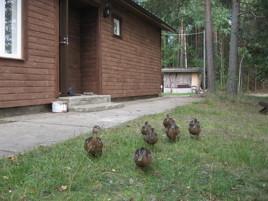 Lomasaaret Cottages Villala Zimmer foto